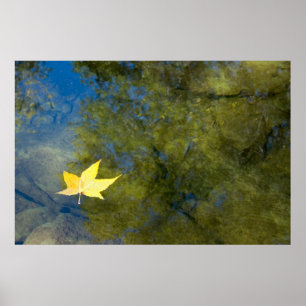 Poster Feuille flottante