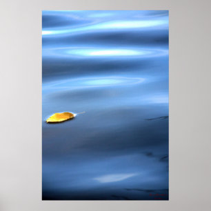 Poster Feuille flottante sur l'eau # 111