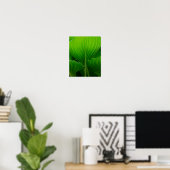 Poster Feuille Hosta verte (Bureau à domicile)