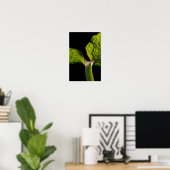 Poster Feuille Hosta verte en noir (Bureau à domicile)