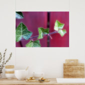 Poster Feuille ivoire (Cuisine)