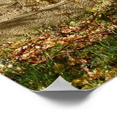 Poster feuille jaune (Coin)