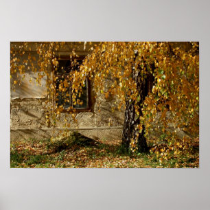 Poster feuille jaune