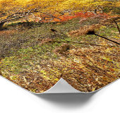 Poster Feuille jaune automne naturel (Coin)