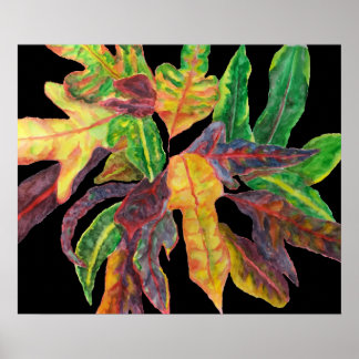 Poster Feuille majestueux