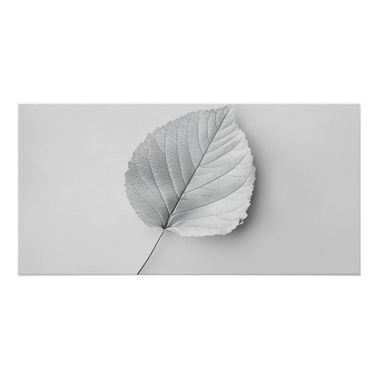 Poster Feuille Minimaliste Monochrome (Devant)