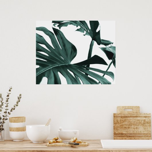 Poster Feuille Monstera (Cuisine)