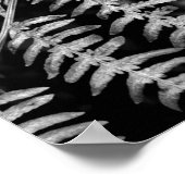 Poster Feuille noir et blanc (Coin)
