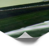 Poster feuille Raindrops (Coin)