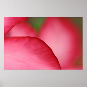 Poster Feuille rose