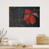 Poster Feuille rouge (Cuisine)