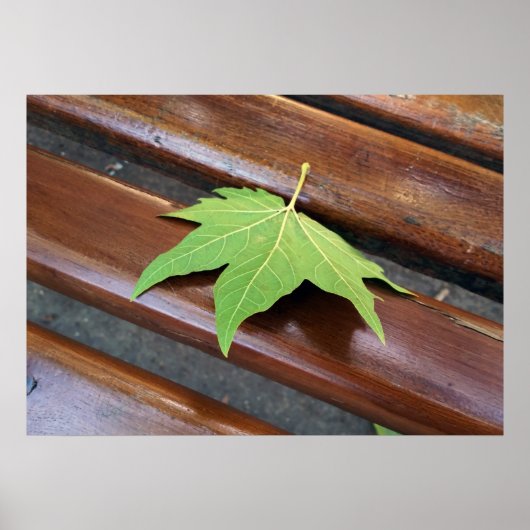 Poster feuille tombée (Devant)