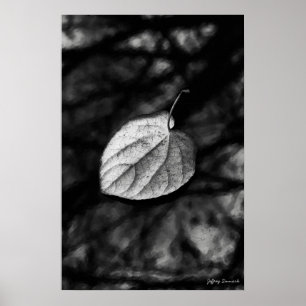 Poster Feuille tombée