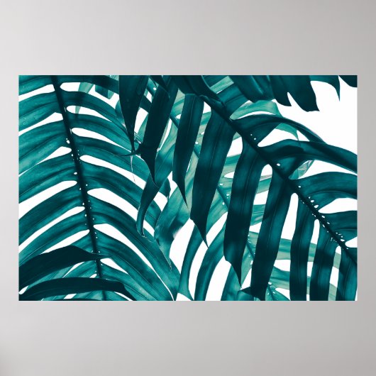 Poster feuille tropicale, bande de feuillage exotique sou (Devant)