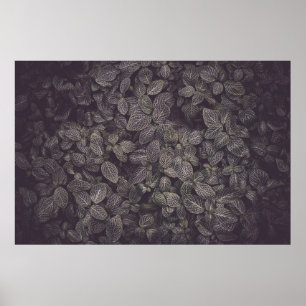POSTER FEUILLE VERT