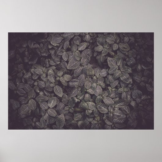 POSTER FEUILLE VERT (Devant)