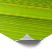 Poster Feuille verte (Coin)