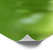 Poster Feuille verte avec Raindrops Poster/Imprimer (Coin)