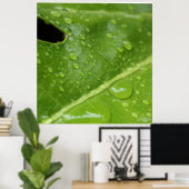 Poster Feuille verte avec Raindrops Poster/Imprimer (Bureau à domicile)