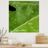 Poster Feuille verte avec Raindrops Poster/Imprimer (Cuisine)