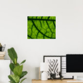 Poster Feuille verte rétroéclairée (Bureau à domicile)