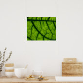 Poster Feuille verte rétroéclairée (Cuisine)