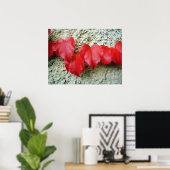 Poster Feuille Virginia Creeper (Bureau à domicile)