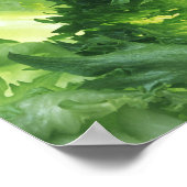 Poster Feuilles (Coin)