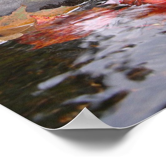 Poster Feuilles (Coin)