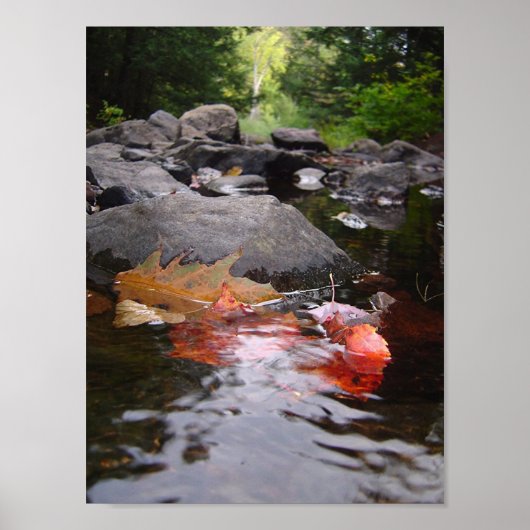 Poster Feuilles (Devant)