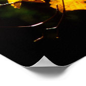 Poster Feuilles à l'automne (Coin)