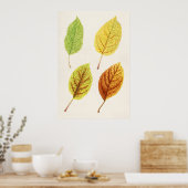 Poster Feuilles Apple (Malus Domestica) (1912) par James (Cuisine)