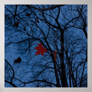 Poster feuilles au clair de lune