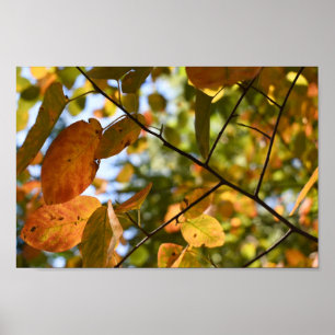 Poster Feuilles automnales Feuilles d'automne Feuilles Sk