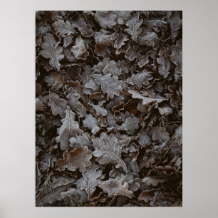 Poster feuilles Brown