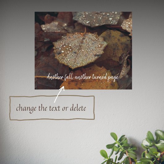 Poster feuilles Brown tombés après la pluie