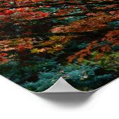 Poster Feuilles colorées d'érable en automne (Coin)