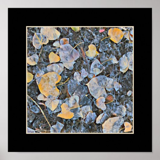 Poster Feuilles congelés (Devant)
