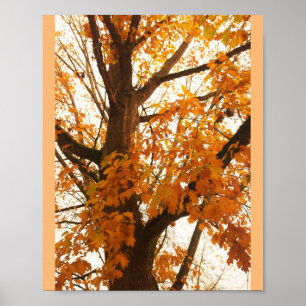 Poster Feuilles d'automne