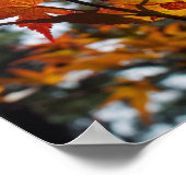 Poster Feuilles d'automne (Coin)