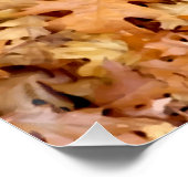 POSTER FEUILLES D'AUTOMNE (Coin)