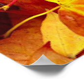 POSTER FEUILLES D'AUTOMNE (Coin)