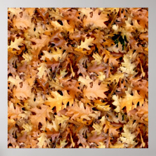 POSTER FEUILLES D'AUTOMNE