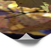 Poster Feuilles d'automne (Coin)
