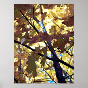 Poster Feuilles d'automne