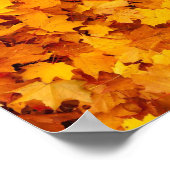 Poster Feuilles d'automne (Coin)