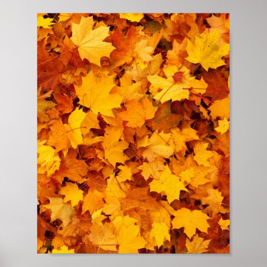 Poster Feuilles d'automne (Devant)
