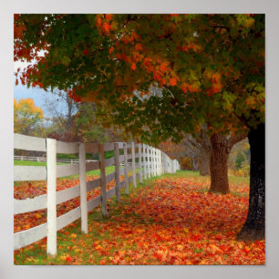 Poster Feuilles d'automne