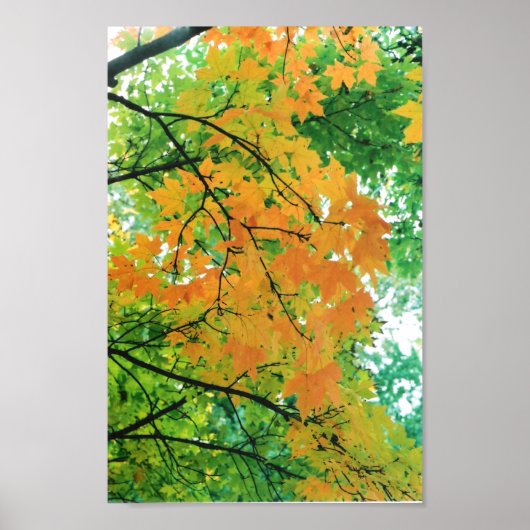 Poster Feuilles d'automne (Devant)