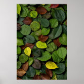 Poster Feuilles d'automne (Devant)